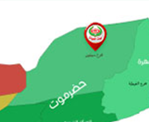 فرع سيئون