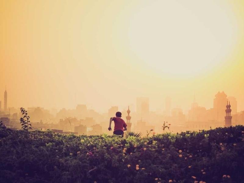 مصنع المحضار للطوب الأحمر